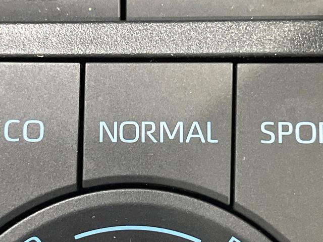 ＲＡＶ４ アドベンチャー　サンルーフ　パノラミックビュー　寒冷地仕様　純正９型ＤＡ　オールテレインホワイトレター　セーフティセンス　レーダークルーズ　ブラインドスポット　シートベンチレーション　パワーシート　ＬＥＤヘッド（68枚目）