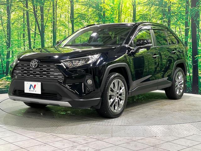 RAV4 G Zパッケージ 純正9型ナビ バックカメラ ブラインドスポット 衝突被害軽減 レーダークルーズ オートハイビーム パワーシート 電動リアゲート コーナーセンサー LEDヘッド シートヒーター ステリングヒーター(32枚目)
