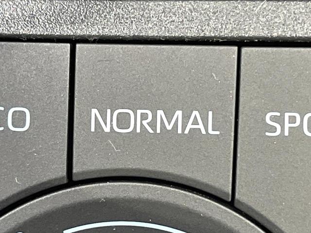 RAV4 G Zパッケージ 純正9型ナビ バックカメラ ブラインドスポット 衝突被害軽減 レーダークルーズ オートハイビーム パワーシート 電動リアゲート コーナーセンサー LEDヘッド シートヒーター ステリングヒーター(64枚目)