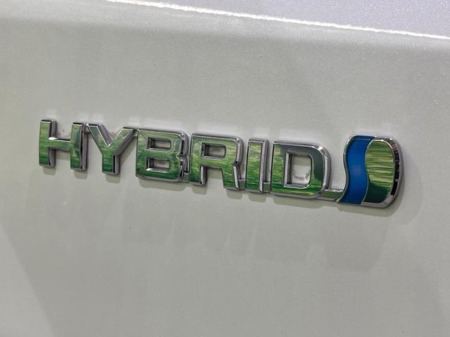 アルファードハイブリッド SR 後期 サンルーフ 後席モニター 純正8型ナビ 両側電動ドア バックカメラ コーナーセンサー クルーズコントロール 電動リアゲート パワーシート シートヒーター HIDヘッド(30枚目)