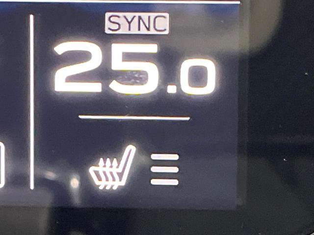 レヴォーグ ＳＴＩスポーツ　ＥＸ　純正１１．６インチ　衝突被害軽減　レーダークルーズ　アイサイト　レーダークルーズ　電動リアゲート　レザーシート　パワーシート　全席シートヒーター　サイドカメラ　バックカメラ　コーナーセンサー（56枚目）