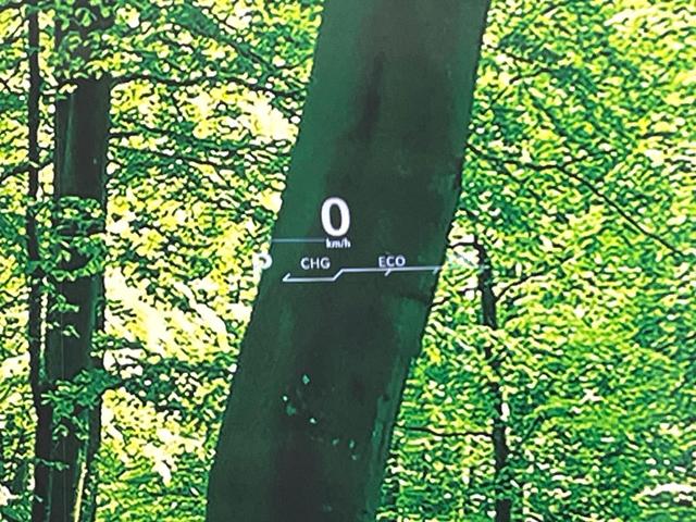 NX NX300h バージョンL マークレビンソン サンルーフ 全周囲カメラ 純正ナビ ブラインドスポット 衝突被害軽減 レーダークルーズ 電動リアゲート シートベンチレーション メモリー付パワーシート オートハイビーム(37枚目)