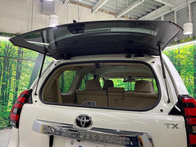 ランドクルーザープラド ＴＸ　寒冷地仕様　純正９型ナビ　トヨタセーフティセンス　レーダークルーズ　ＬＥＤヘッドライト　クリアランスソナー　オートエアコン　スマートエントリー　ＬＥＤフォグランプ（31枚目）