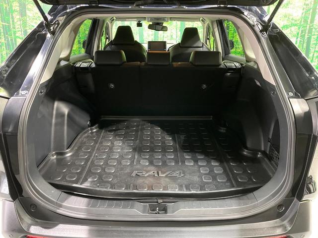RAV4 アドベンチャー オフロードパッケージ 寒冷地仕様 純正9型DA バックカメラ 衝突被害軽減 ブラインドスポット レーダークルーズ コーナーセンサー オートハイビーム LEDヘッド ルーフレール ETC スマートキー(34枚目)