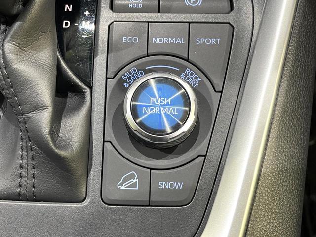 RAV4 アドベンチャー オフロードパッケージ 寒冷地仕様 純正9型DA バックカメラ 衝突被害軽減 ブラインドスポット レーダークルーズ コーナーセンサー オートハイビーム LEDヘッド ルーフレール ETC スマートキー(57枚目)