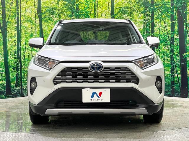 RAV4 ハイブリッドG カロッツェリアナビ バックカメラ セーフティセンス ブラインドスポット レーダークルーズ コーナーセンサー ステアリングヒーター シートヒーター パワーシート LEDヘッド オートハイビーム(15枚目)