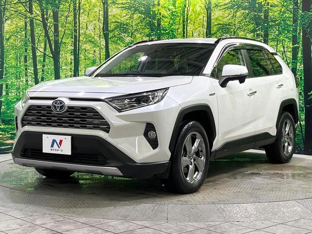 RAV4 ハイブリッドG カロッツェリアナビ バックカメラ セーフティセンス ブラインドスポット レーダークルーズ コーナーセンサー ステアリングヒーター シートヒーター パワーシート LEDヘッド オートハイビーム(30枚目)