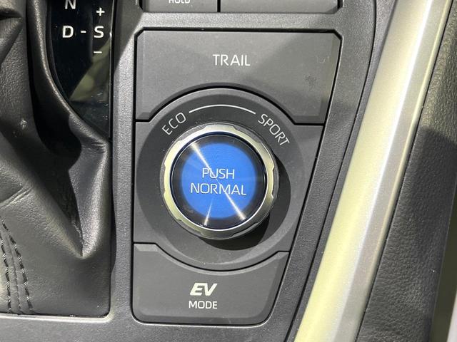 RAV4 ハイブリッドG カロッツェリアナビ バックカメラ セーフティセンス ブラインドスポット レーダークルーズ コーナーセンサー ステアリングヒーター シートヒーター パワーシート LEDヘッド オートハイビーム(61枚目)