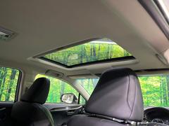 ڥѥΥޥ롼ա緿Υ饹롼ܤǼβ쵤˥åסŪʥɥ饤֤򤪳ڤߤޤ 3