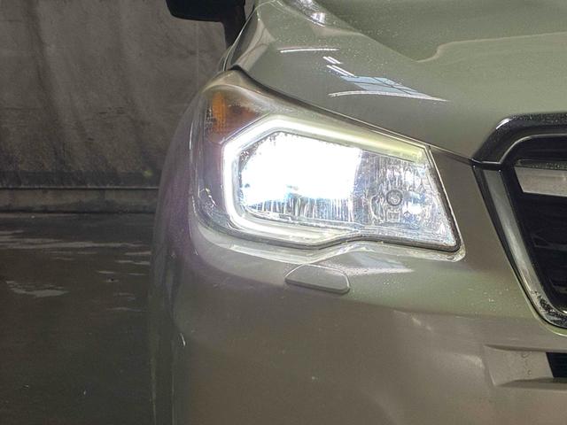 綺麗なヘッドライトです。