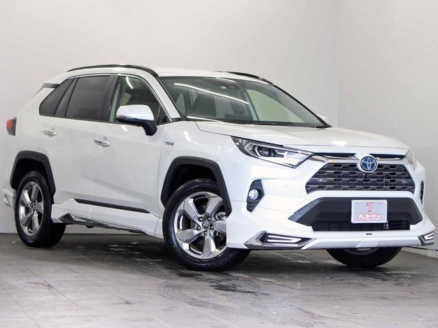 TOYOTA RAV4 modelista モデリスタ 右サイドスカート | tspea.org
