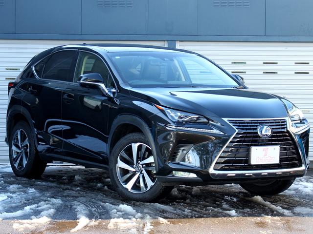 NX NX300h バージョンL 後期型 セーフティシステム+ ブラインドスポットモニター パノラミックビューモニター パワーバックドア シートベンチレーション レーダークルーズ AC100V 三眼LEDヘッドライト 2列目電動シート(21枚目)