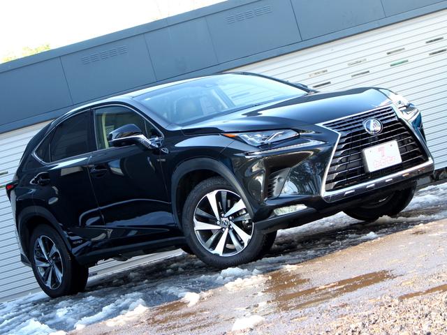 NX NX300h バージョンL 後期型 セーフティシステム+ ブラインドスポットモニター パノラミックビューモニター パワーバックドア シートベンチレーション レーダークルーズ AC100V 三眼LEDヘッドライト 2列目電動シート(23枚目)