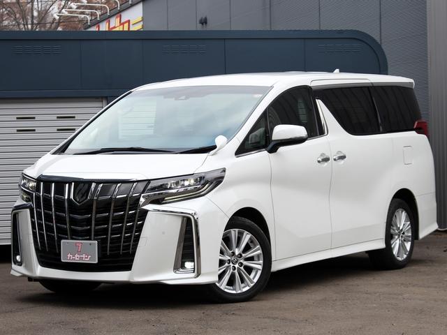 アルファード ２．５Ｓ　後期型　セーフティセンス　純正９型ディスプレイナビ　１３．３型フリップダウンモニター　バックカメラ　両側パワースライド　レーダークルーズ　クリアランスソナー　プリクラッシュ　レーントレーシング（24枚目）