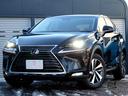 NX300h バージョンL 後期型 セーフティシステム+ ブラインドスポットモニター パノラミックビューモニター パワーバックドア シートベンチレーション レーダークルーズ AC100V 三眼LEDヘッドライト 2列目電動シート(22枚目)