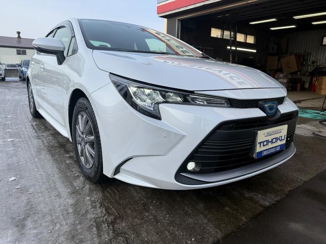 �k�d�c�w�b�h���C�g�@�t�H�O�����v