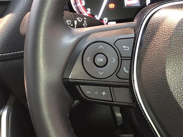 ＲＡＶ４ Ｇ　Ｚパッケージ　寒冷地仕様車　インテリジェントクリアランスソナー　ＡＷＤ　ＬＥＤライト　アルミホイル　オートクルーズ　横滑り防止装置　バックガイドモニター　盗難防止装置　デュアルエアバッグ　メモリナビ　キーレス（19枚目）