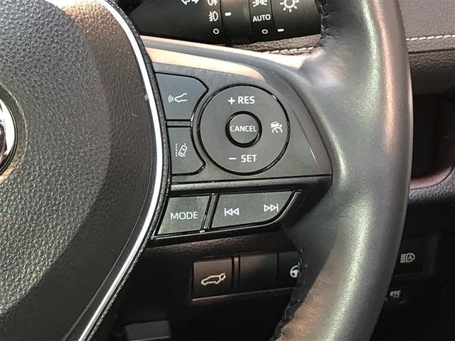 ＲＡＶ４ Ｇ　Ｚパッケージ　寒冷地仕様車　インテリジェントクリアランスソナー　ＡＷＤ　ＬＥＤライト　アルミホイル　オートクルーズ　横滑り防止装置　バックガイドモニター　盗難防止装置　デュアルエアバッグ　メモリナビ　キーレス（20枚目）