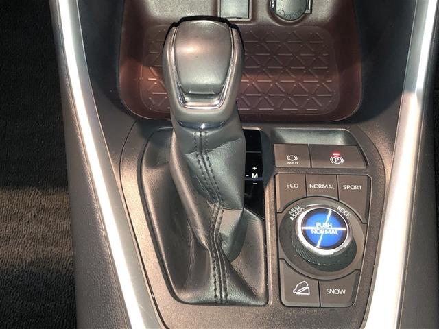 ＲＡＶ４ Ｇ　Ｚパッケージ　寒冷地仕様車　インテリジェントクリアランスソナー　ＡＷＤ　ＬＥＤライト　アルミホイル　オートクルーズ　横滑り防止装置　バックガイドモニター　盗難防止装置　デュアルエアバッグ　メモリナビ　キーレス（22枚目）