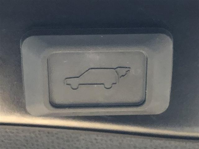 ＲＡＶ４ Ｇ　Ｚパッケージ　寒冷地仕様車　インテリジェントクリアランスソナー　ＡＷＤ　ＬＥＤライト　アルミホイル　オートクルーズ　横滑り防止装置　バックガイドモニター　盗難防止装置　デュアルエアバッグ　メモリナビ　キーレス（31枚目）