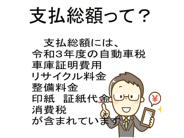 L SA 4WD 冬タイヤ付き 衝突軽減 メモリーナビ フルセグ DVD再生(53枚目)