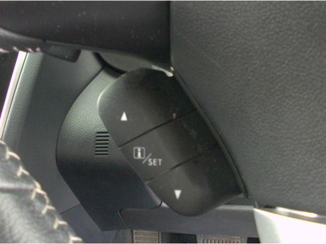 レヴォーグ １．６ＧＴアイサイト　ワンオーナー　ターボ　４ＷＤ　アドバンスドセイフティパッケージ　純正メモリーナビ　フルセグ　ＤＶＤ再生　ブルートゥース　サイドカメラ　Ｂカメラ　パワーシート　ＢＳＭ（33枚目）