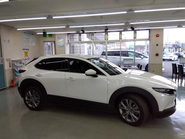 ＣＸ－３０ ２０Ｓ　プロアクティブ　ツーリングセレクション　４ＷＤ　衝突軽減　横滑り防止　クルコン　純正ディスプレイオーディオ　フルセグ　Ｂカメラ　ＬＥＤライト　ＥＴＣ　スタッドレスＡＷ付（6枚目）