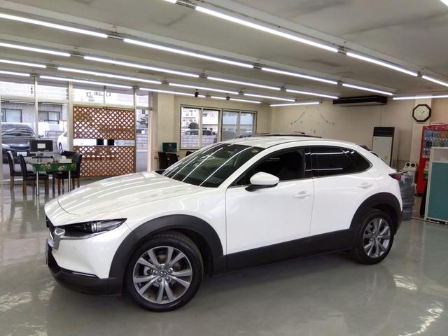 ＣＸ－３０ ２０Ｓ　プロアクティブ　ツーリングセレクション　４ＷＤ　衝突軽減　横滑り防止　クルコン　純正ディスプレイオーディオ　フルセグ　Ｂカメラ　ＬＥＤライト　ＥＴＣ　スタッドレスＡＷ付（14枚目）