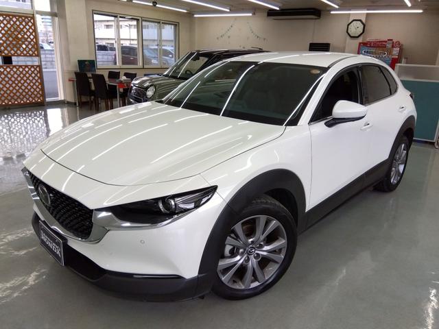 ＣＸ－３０ ２０Ｓ　プロアクティブ　ツーリングセレクション　４ＷＤ　衝突軽減　横滑り防止　クルコン　純正ディスプレイオーディオ　フルセグ　Ｂカメラ　ＬＥＤライト　ＥＴＣ　スタッドレスＡＷ付（15枚目）