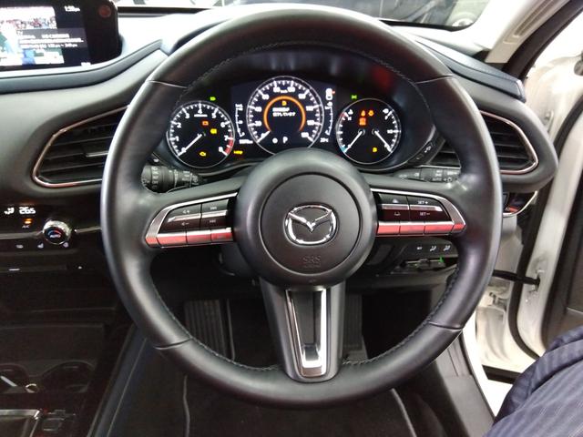 ＣＸ－３０ ２０Ｓ　プロアクティブ　ツーリングセレクション　４ＷＤ　衝突軽減　横滑り防止　クルコン　純正ディスプレイオーディオ　フルセグ　Ｂカメラ　ＬＥＤライト　ＥＴＣ　スタッドレスＡＷ付（34枚目）