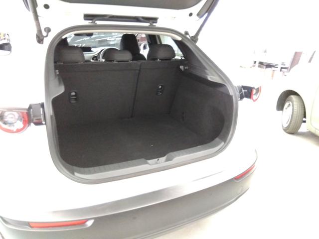 ＣＸ－３０ ２０Ｓ　プロアクティブ　ツーリングセレクション　４ＷＤ　衝突軽減　横滑り防止　クルコン　純正ディスプレイオーディオ　フルセグ　Ｂカメラ　ＬＥＤライト　ＥＴＣ　スタッドレスＡＷ付（62枚目）