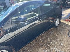 �ץꥦ�� �� 0300248A20250903W003 3