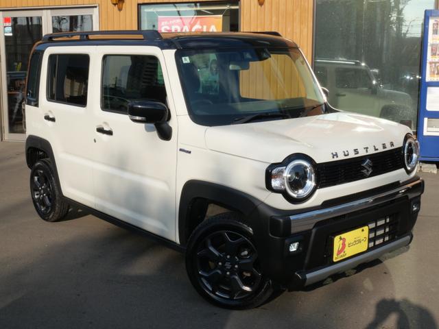 ハスラー タフワイルド（4枚目）