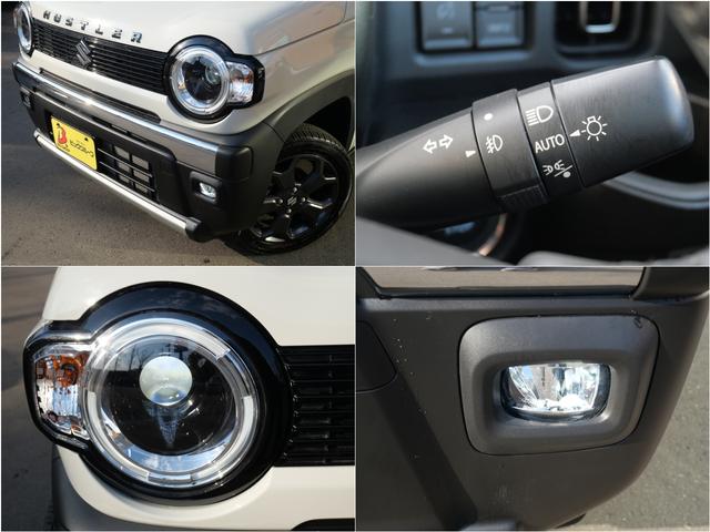 ハスラー タフワイルド（8枚目）