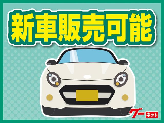 Ｇｆ　４ＷＤ　ワンセグナビＴＶ　ＡＢＳ　アイドリングＳＴＯＰ(22枚目)