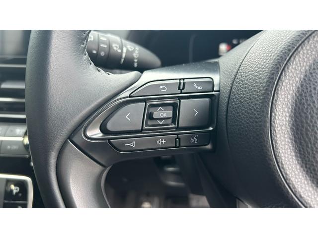 アクア Z E-Four TSS LEDヘッドライト BSM 10.5インチDA フルセグTV Bluetooth パノラミックビューモニター 夏冬アルミホイール AC100V/1500Wコンセント 寒冷地仕様(18枚目)