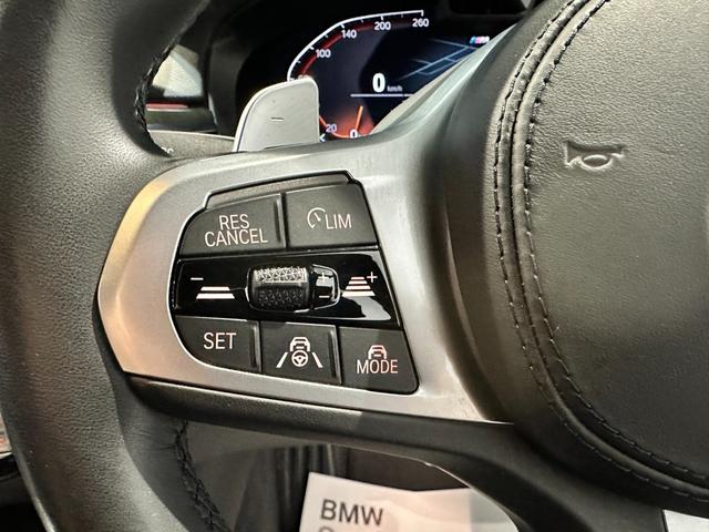 5シリーズ 523d xDriveMスポーツエディションジョイ+ 4WD ディーゼルターボ レザーシート 前席シートヒーター LEDヘッドライト ナビゲーション 地デジチューナー リアカメラ 19インチアロイホイール 認定中古車 2年保証(29枚目)