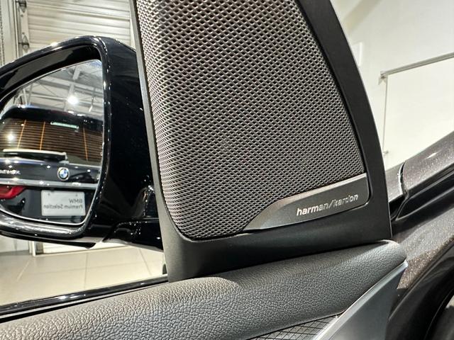 X3 xDrive 20d Mスポーツ ディーゼルターボ 4WD Mスポーツ セレクトパッケージ パノラマサンルーフ リアサイドローラーブラインド ハーマンカードンスピーカー 19インチアロイ ワンオーナー 認定中古車 2年保証(10枚目)