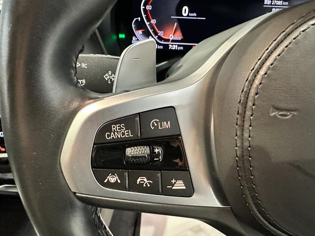 X3 xDrive 20d Mスポーツ ディーゼルターボ 4WD Mスポーツ セレクトパッケージ パノラマサンルーフ リアサイドローラーブラインド ハーマンカードンスピーカー 19インチアロイ ワンオーナー 認定中古車 2年保証(31枚目)