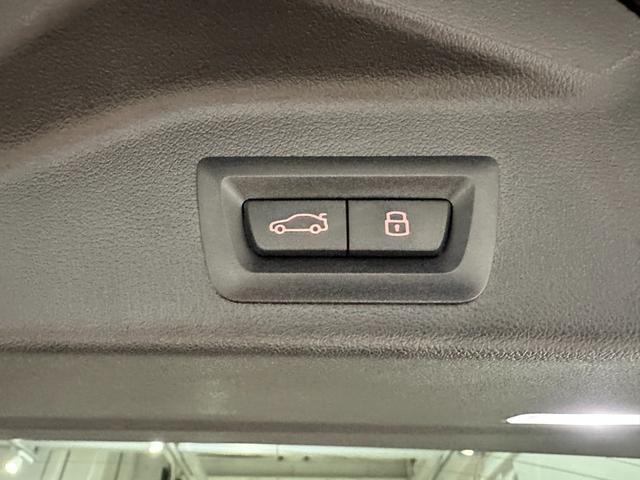 Ｘ５ ｘＤｒｉｖｅ　３５ｄ　エディションＸ　ディーゼルターボ　４ＷＤ　レザーシート　レザーシート　パノラマガラスサンルーフ　アダプティブＬＥＤヘッドライト　４輪アダプティブエアサスペンション　２２インチアロイ　弊社デモカー　認定中古車　２年保証（25枚目）