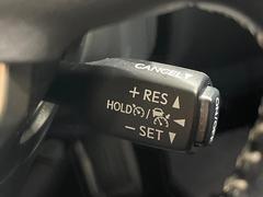 �ڥ졼�������롼������ȥ�����۹�®ƻϩ�Ǥ�Ĺ��Υ���Ԥ��ڤˡ�����ư��®�٤��ݤĥ��롼������ȥ����뤬�����ͷڸ������ƥ��Ϣ�Ȥ��������μ�ξ���Τ��Ƽִ֤��ݤĤ褦��®��Ĵ�ᤷ�Ƥ���ޤ����� 6