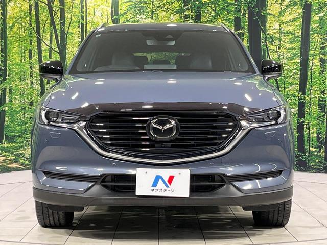 ＣＸ－８ ＸＤ　ブラックトーンエディション　本州仕入れ　４ＷＤ　ターボ　純正１０型ナビ　後席モニター　全周囲カメラ　ＢＯＳＥサウンド　アドバンスドスマートシティブレーキサポート　レーダークルーズ　禁煙車　パワーバックドア　ハーフレザーシート（15枚目）