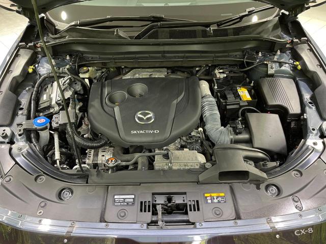 ＣＸ－８ ＸＤ　ブラックトーンエディション　本州仕入れ　４ＷＤ　ターボ　純正１０型ナビ　後席モニター　全周囲カメラ　ＢＯＳＥサウンド　アドバンスドスマートシティブレーキサポート　レーダークルーズ　禁煙車　パワーバックドア　ハーフレザーシート（18枚目）