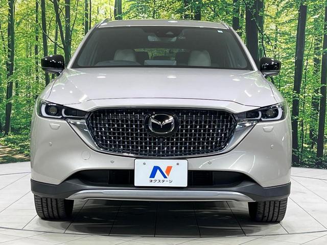 ＣＸ－８ ＸＤ　グランドジャーニー　４ＷＤ　ターボ　純正ＳＤナビ　全周囲カメラ　アドバンスドスマートシティブレーキサポート　レーダークルーズ　禁煙車　電動リアゲート　ハーフレザーシート　ドラレコ　コーナーセンサー　スマートキー（15枚目）