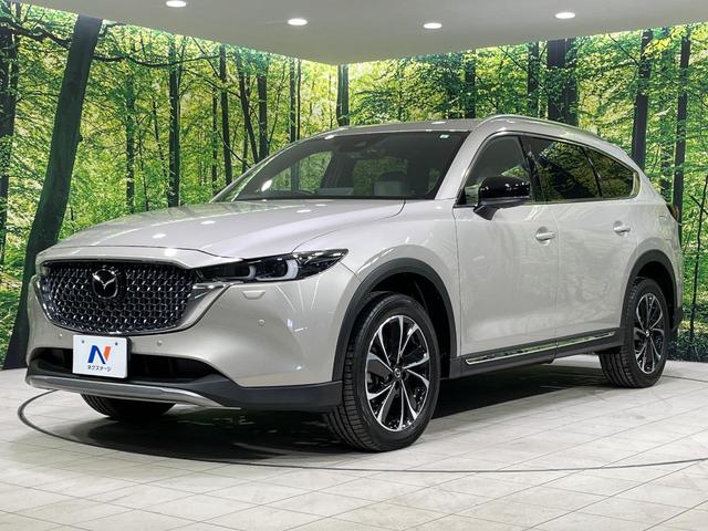 ＣＸ－８ ＸＤ　グランドジャーニー　４ＷＤ　ターボ　純正ＳＤナビ　全周囲カメラ　アドバンスドスマートシティブレーキサポート　レーダークルーズ　禁煙車　電動リアゲート　ハーフレザーシート　ドラレコ　コーナーセンサー　スマートキー（17枚目）