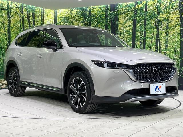 ＣＸ－８ ＸＤ　グランドジャーニー　４ＷＤ　ターボ　純正ＳＤナビ　全周囲カメラ　アドバンスドスマートシティブレーキサポート　レーダークルーズ　禁煙車　電動リアゲート　ハーフレザーシート　ドラレコ　コーナーセンサー　スマートキー（26枚目）