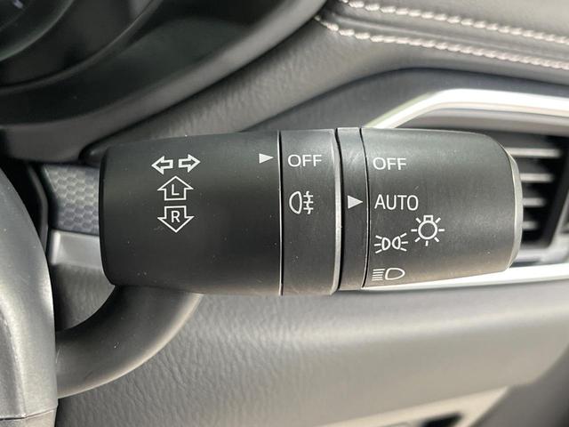 ＣＸ－８ ＸＤ　グランドジャーニー　４ＷＤ　ターボ　純正ＳＤナビ　全周囲カメラ　アドバンスドスマートシティブレーキサポート　レーダークルーズ　禁煙車　電動リアゲート　ハーフレザーシート　ドラレコ　コーナーセンサー　スマートキー（52枚目）