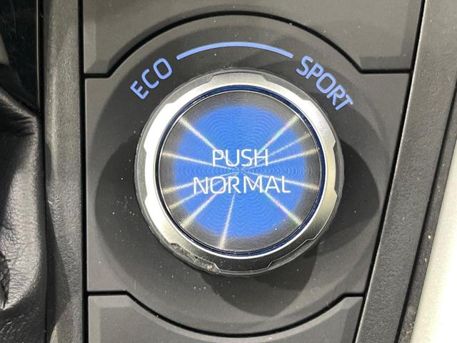 RAV4 ハイブリッドG 4WD 純正SDナビ バックカメラ 寒冷地仕様 100V電源 セーフティセンス レーダークルーズ 禁煙車 電動リアゲート レザーシート パワーシート ドラレコ コーナーセンサー スマートキー(68枚目)