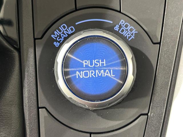 RAV4 アドベンチャー 4WD 純正9インチSDナビ バックカメラ セーフティセンス レーダークルーズ 禁煙車 黒皮合皮レザーシート パワーシート ドラレコ スマートキー LEDヘッド ビルトインETC 純正19インチアルミ(48枚目)