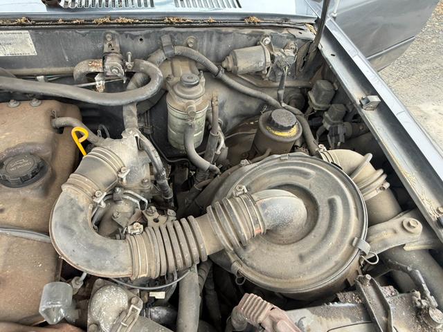 ���̓x�́A�N���}�����B�N�g���[�̍݌ɎԂ������������肪�Ƃ��������܂��I